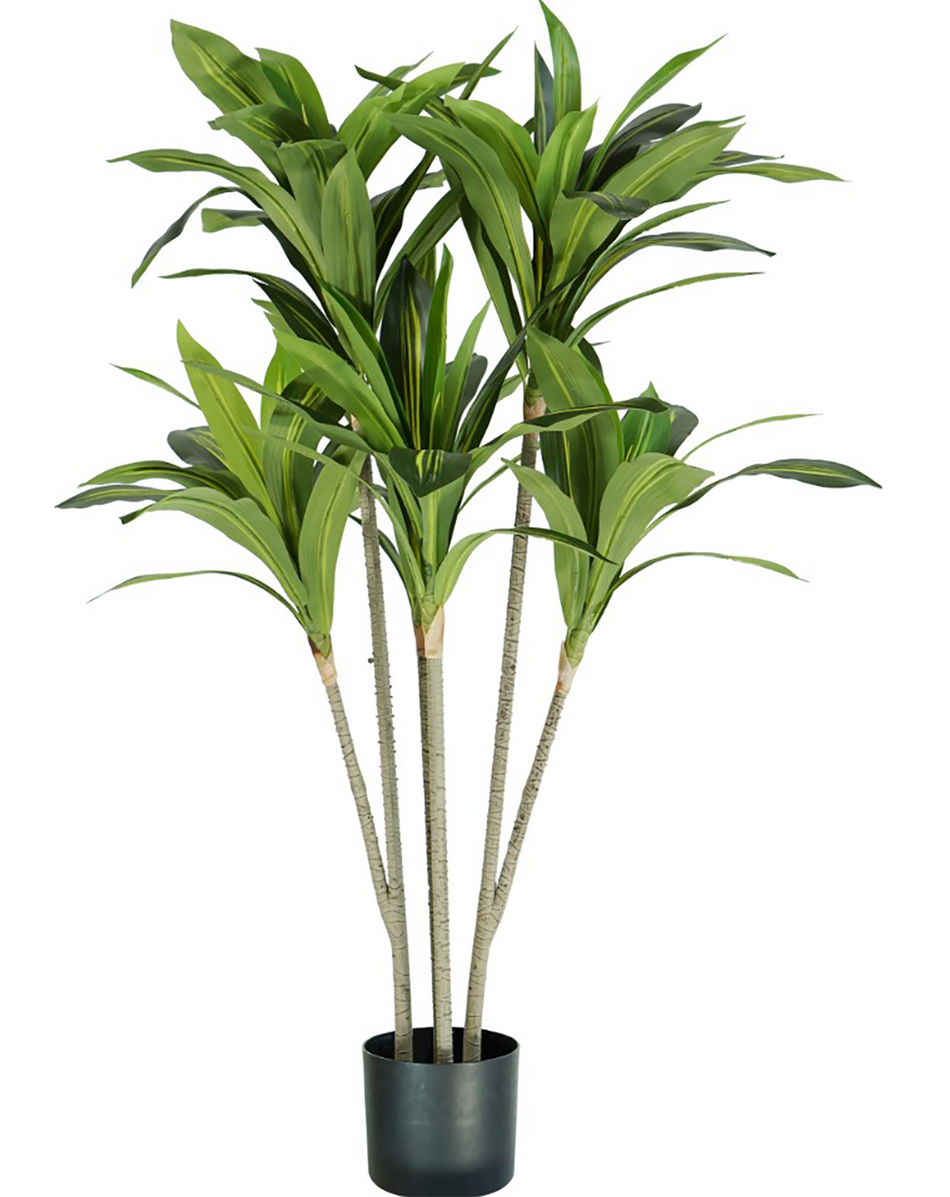 Pianta artificiale di dracaena KING HOME