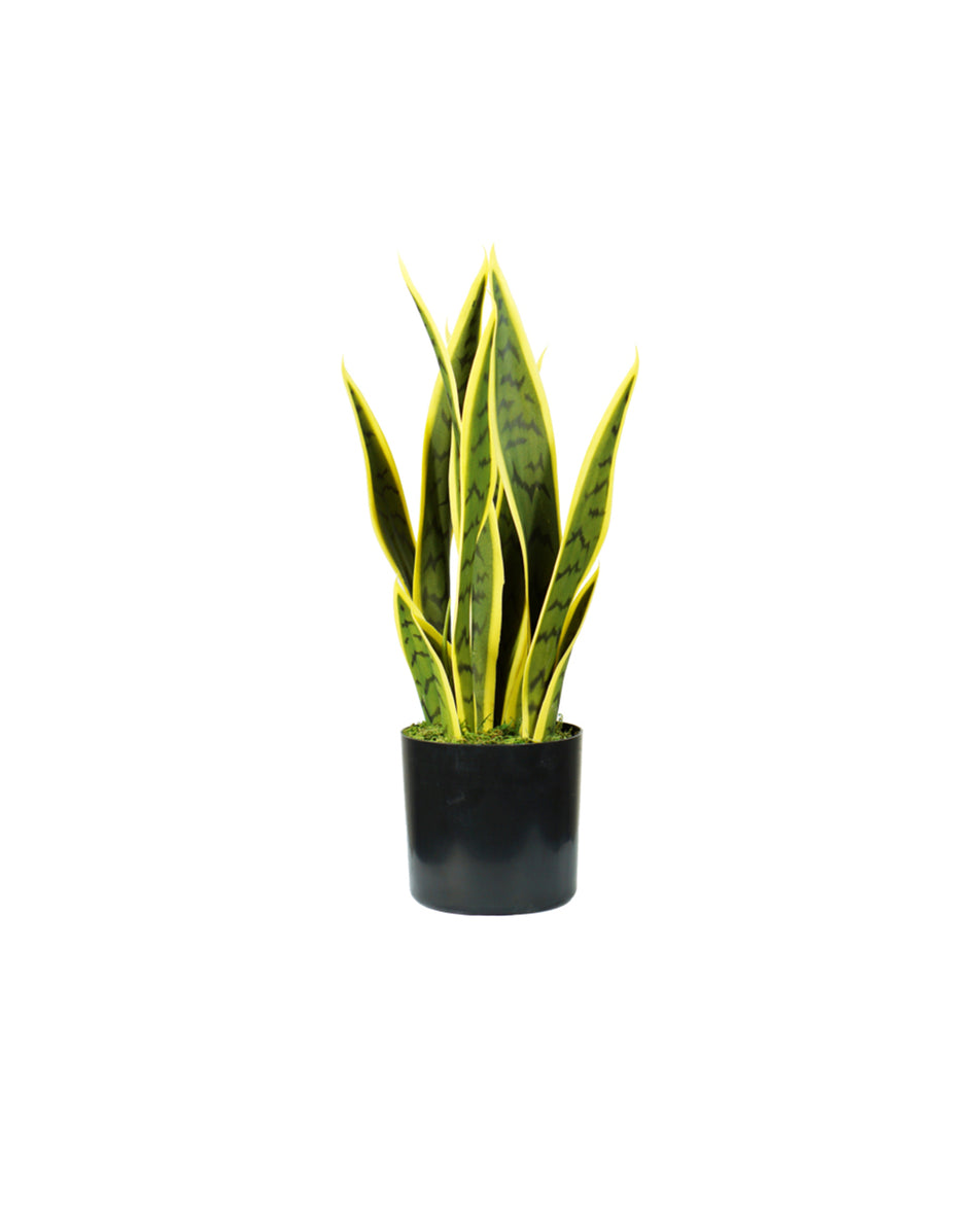 Pianta artificiale di sansevieria KING HOME