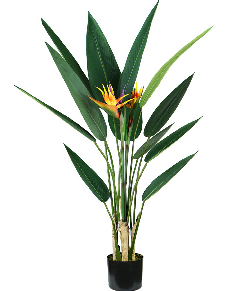 Pianta artificiale di strelitzia KING HOME