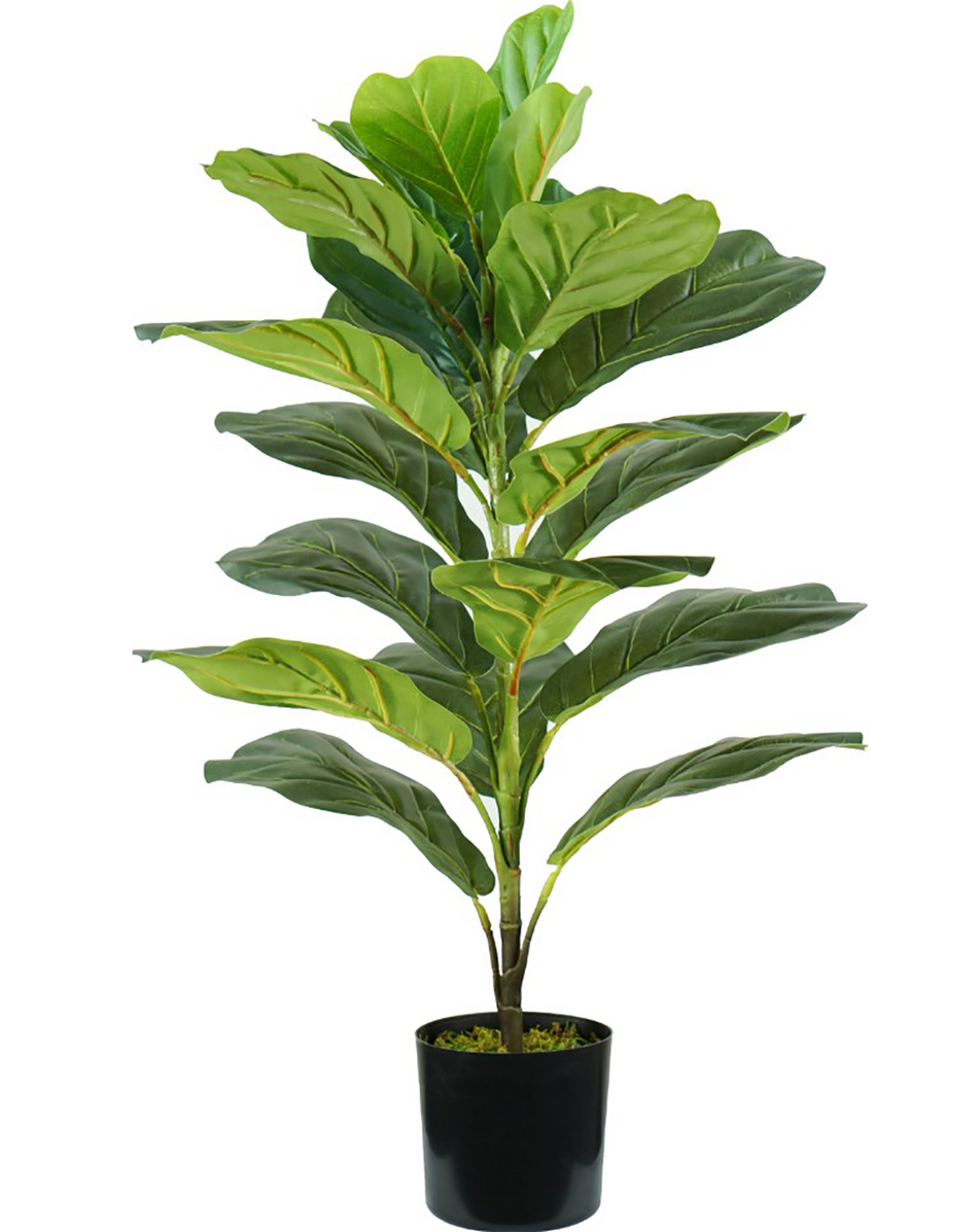 Pianta artificiale  di ficus lyrata KING HOME